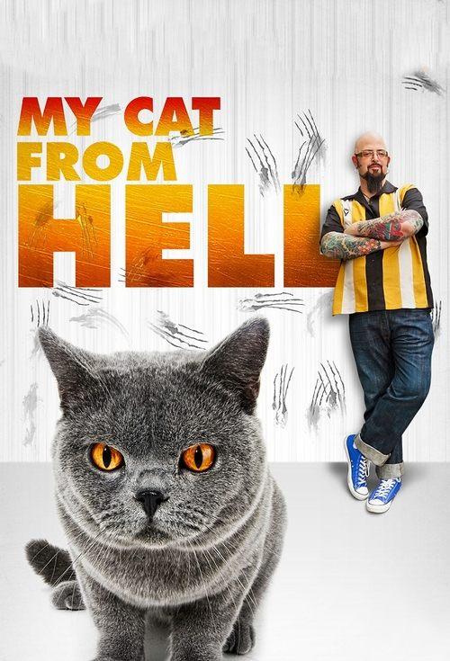 家有恶猫