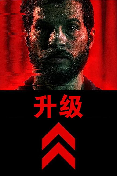 升级
