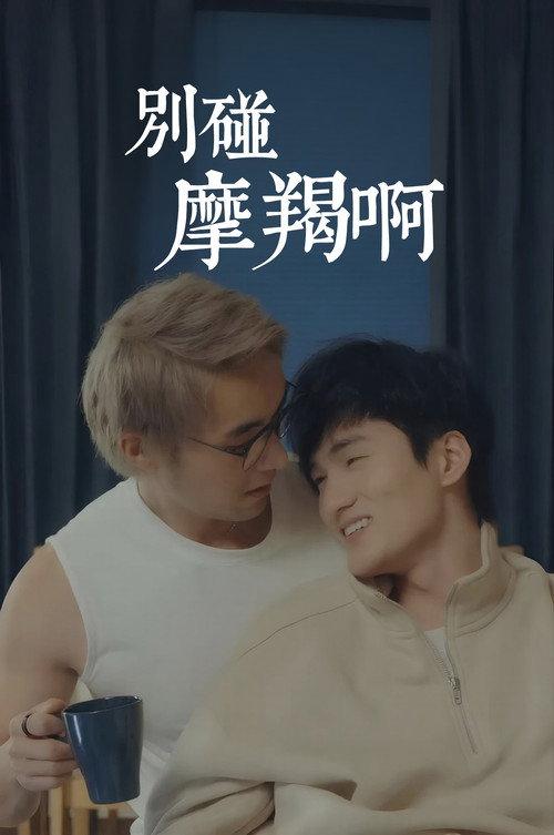 别碰摩羯啊!