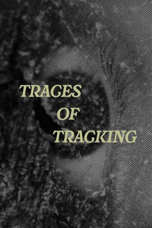 Traces of Tracking