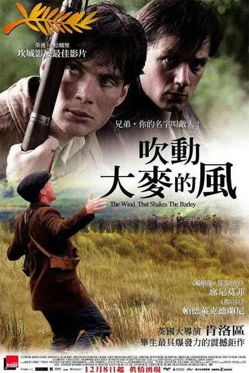 风吹麦浪