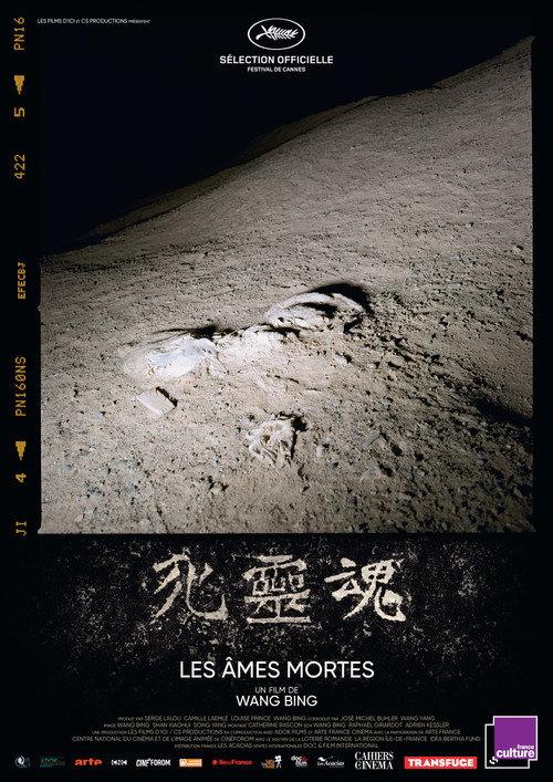 死灵魂