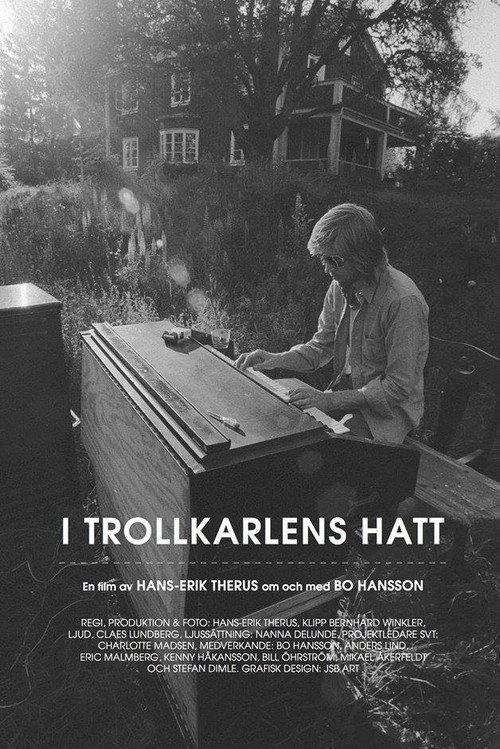 I Trollkarlens hatt