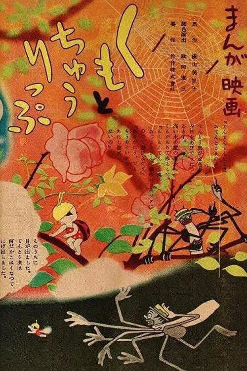 蜘蛛与郁金香