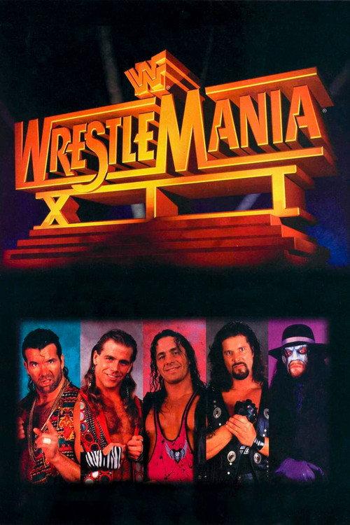 WWE 摔角狂热 12