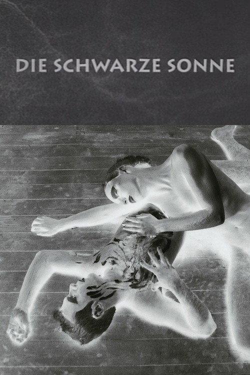 Die schwarze Sonne