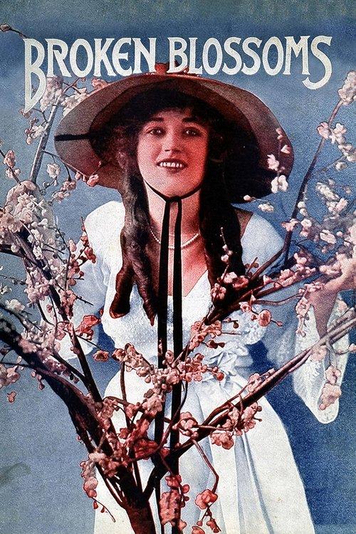 残花泪