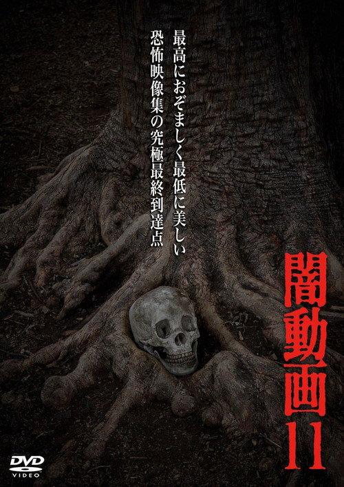 暗动画11