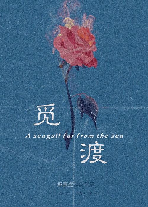 觅渡