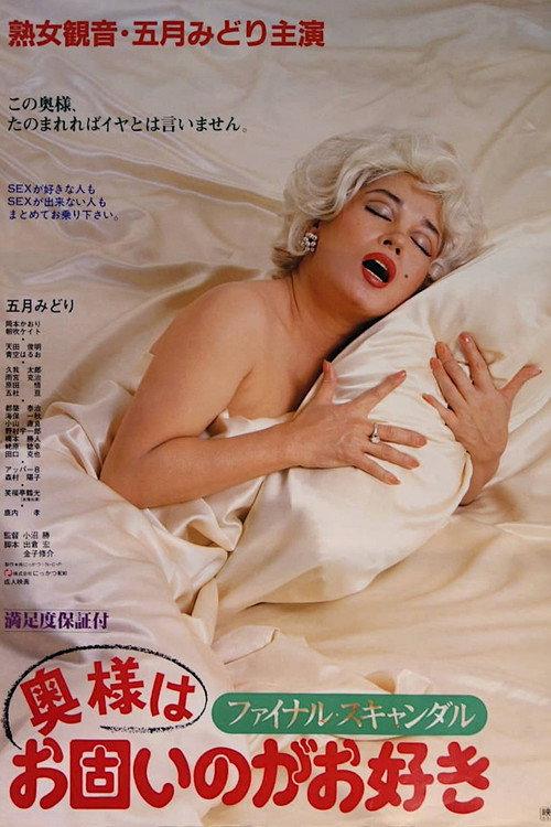 丑闻夫人：最后的丑闻