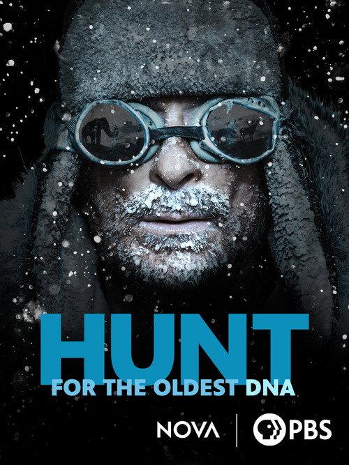 寻找最古老的DNA