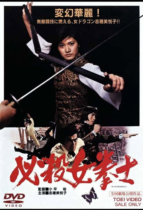 必杀女拳士
