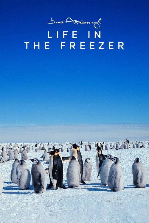 冰雪的童话