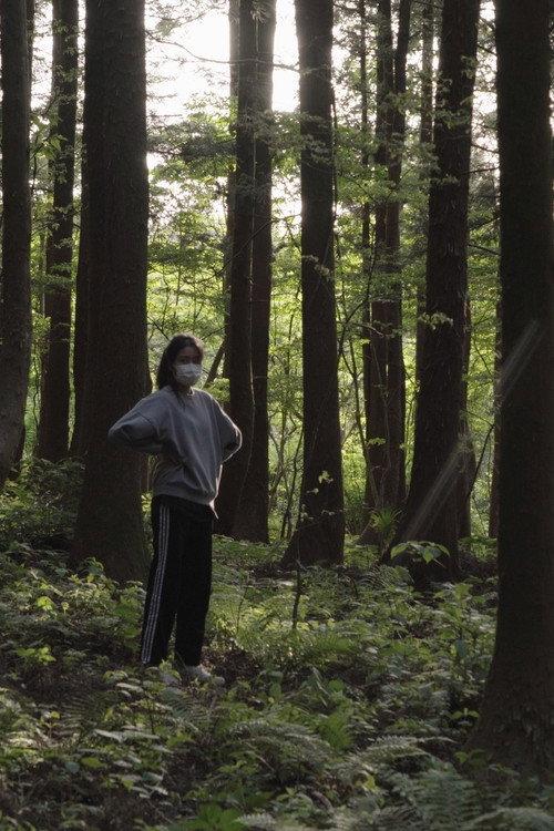 잡초
