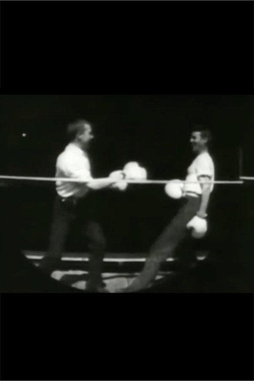 Men Boxing