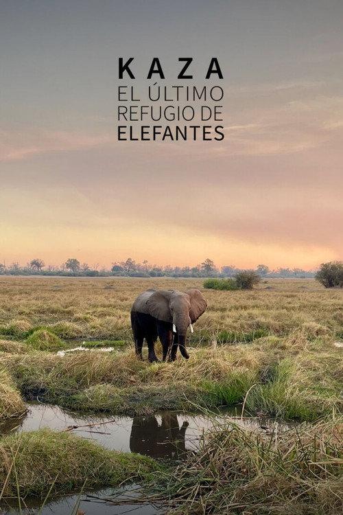 Kaza. El último refugio de elefantes
