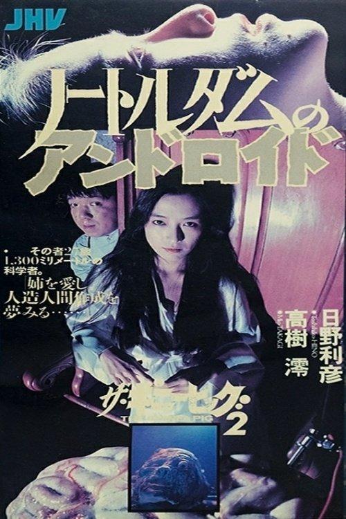 豚鼠6：圣母机器人