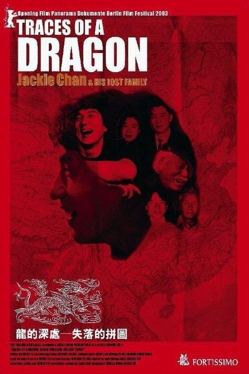 龙的深处:失落的拼图