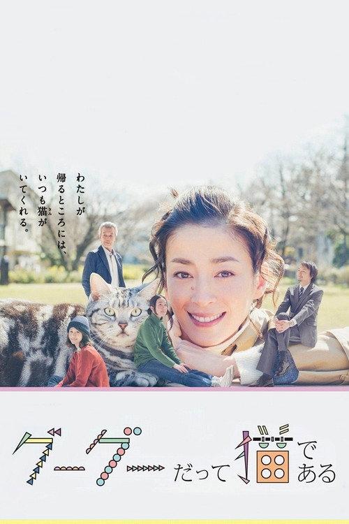 咕咕是一只猫