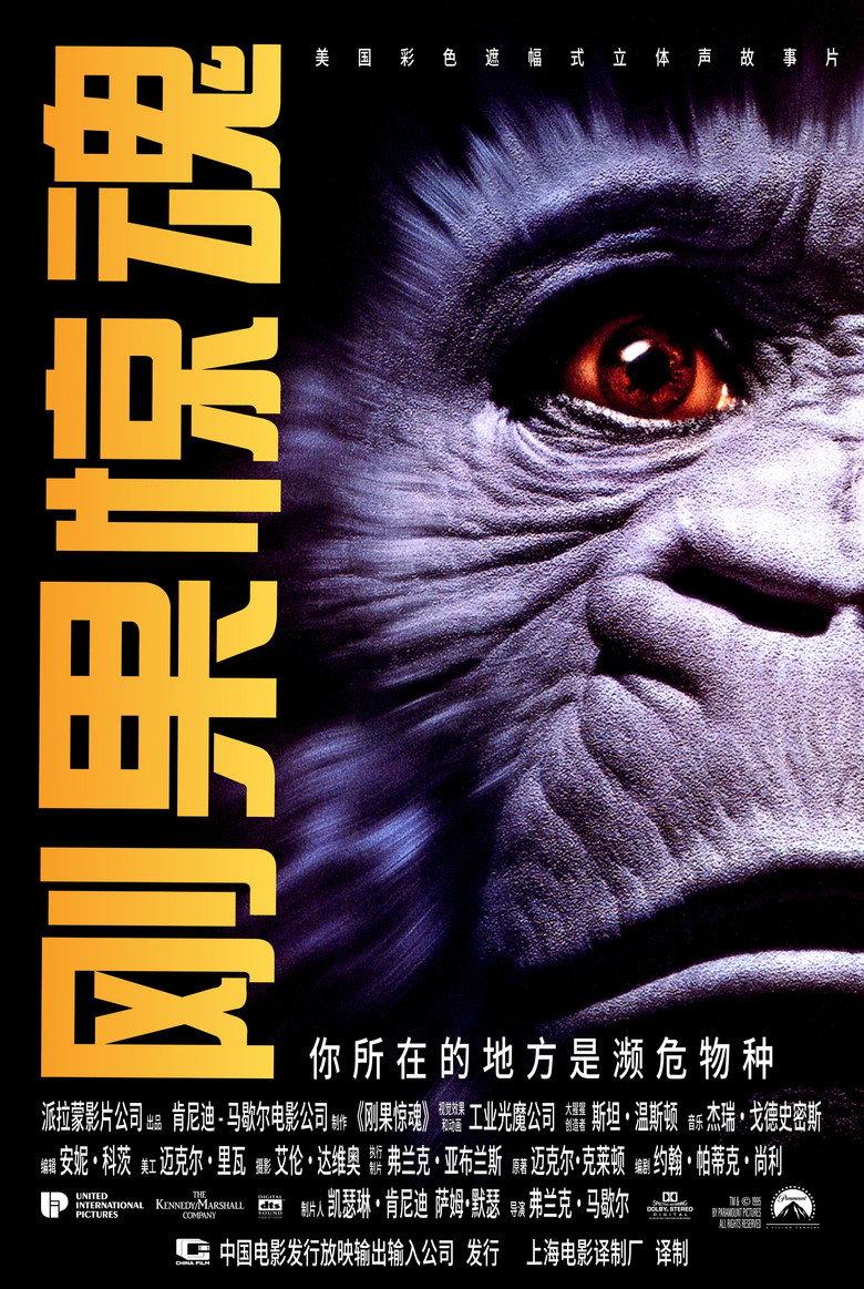 刚果惊魂