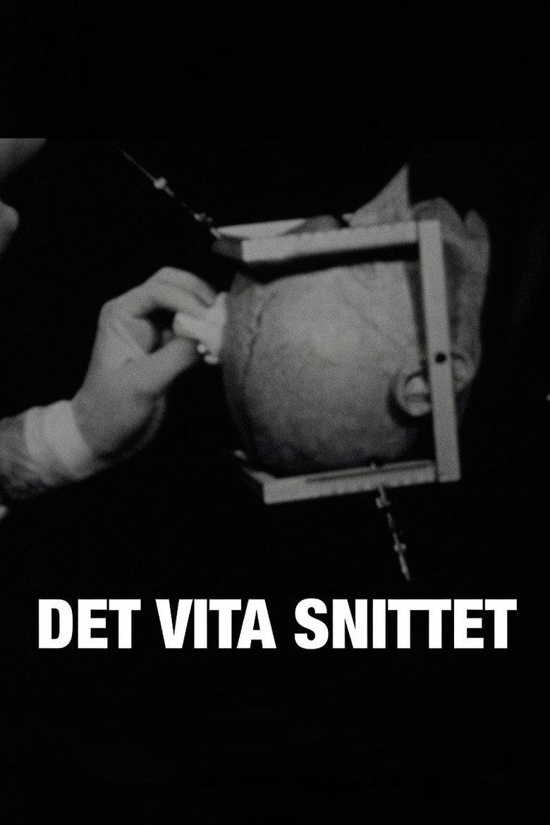 Det vita snittet