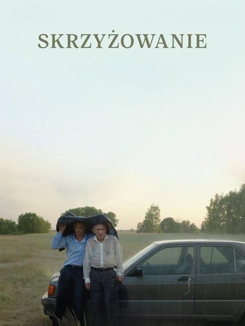 Skrzyżowanie