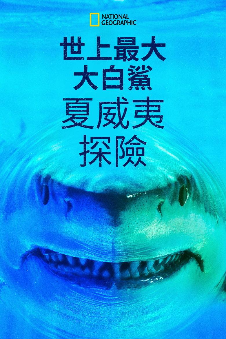 世上最大大白鲨:夏威夷探险