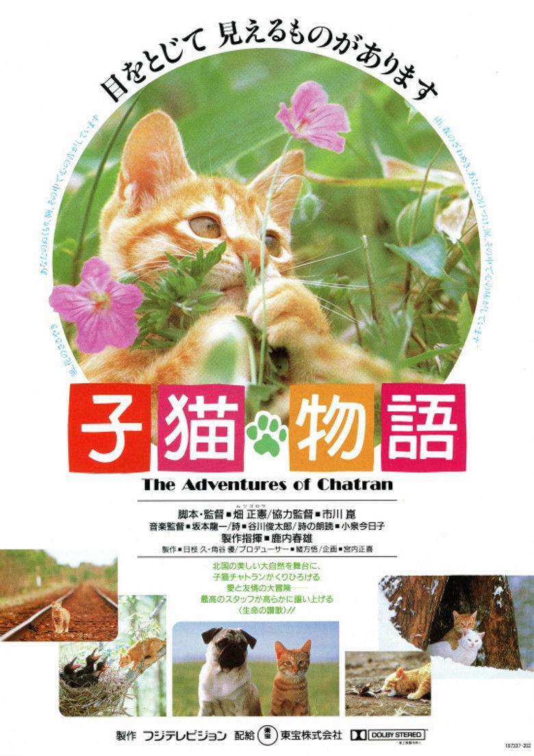 子猫物语