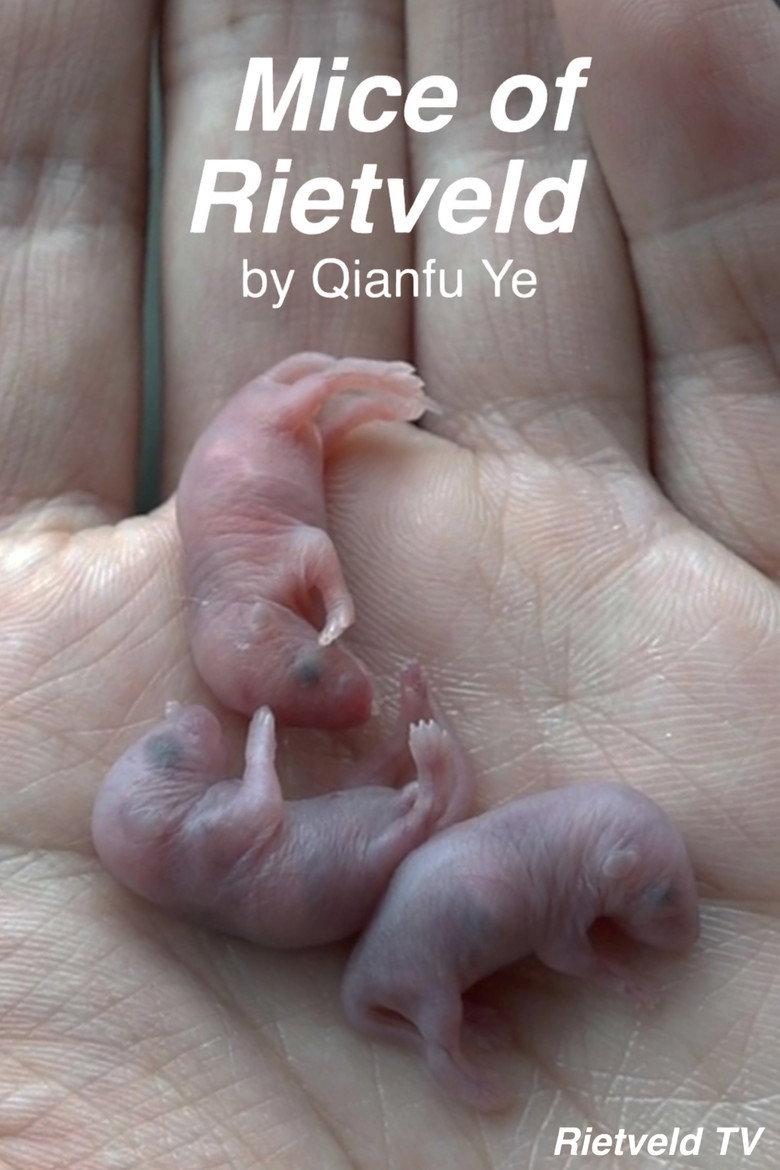 Mice of Rietveld
