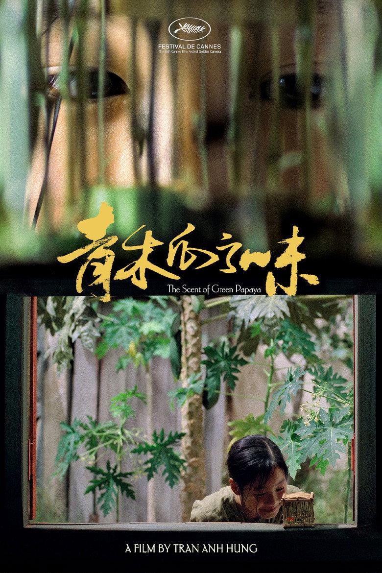 青木瓜之味