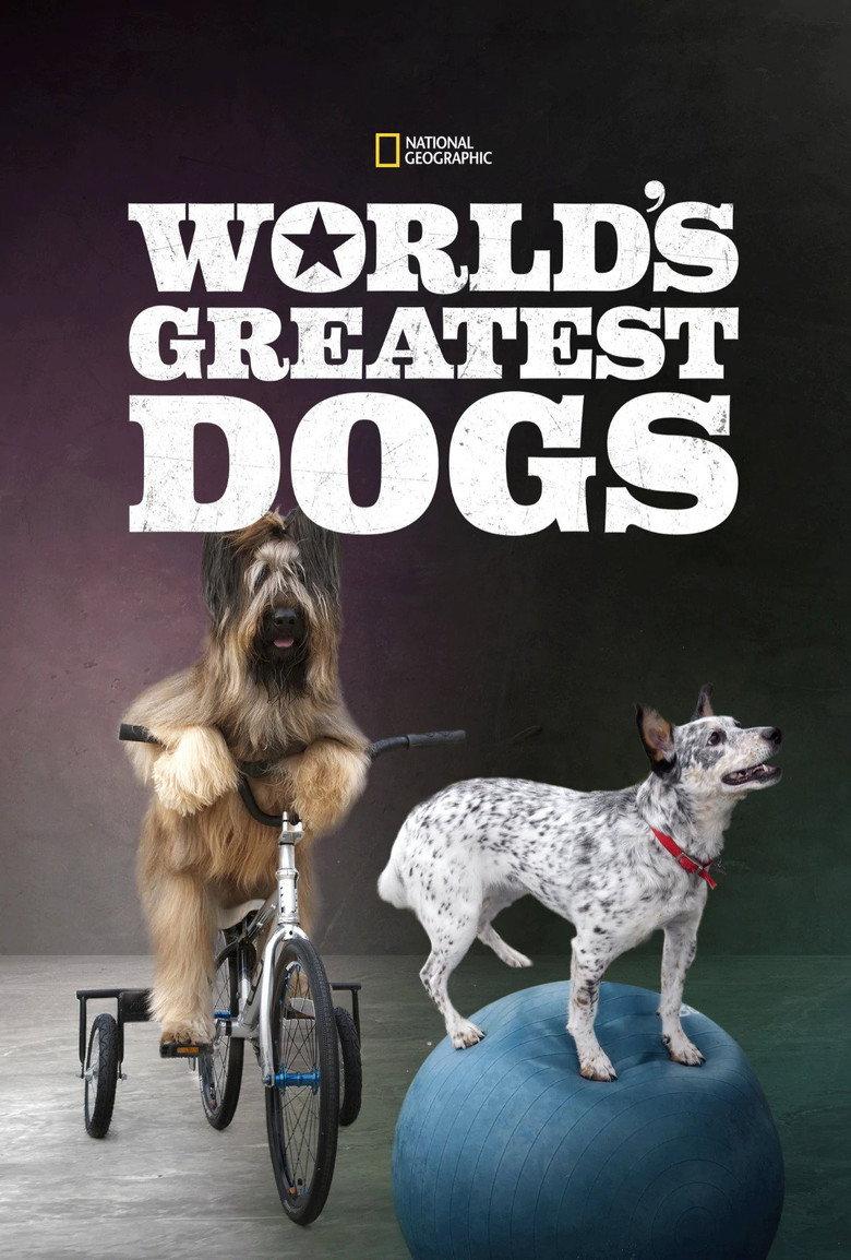 世界灵犬大全