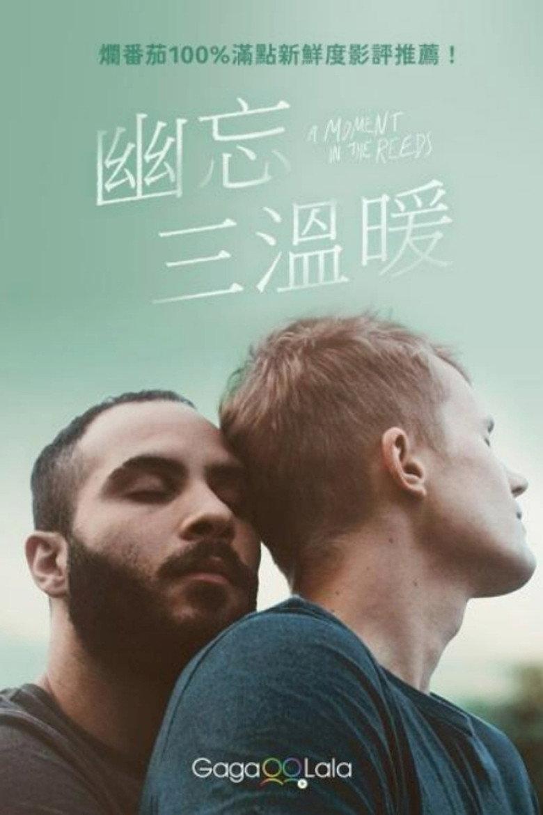 芦苇荡的时光