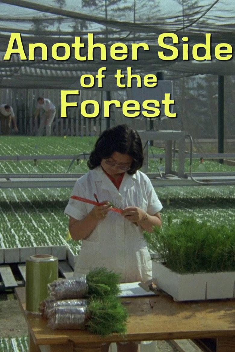 Another Side of the Forest