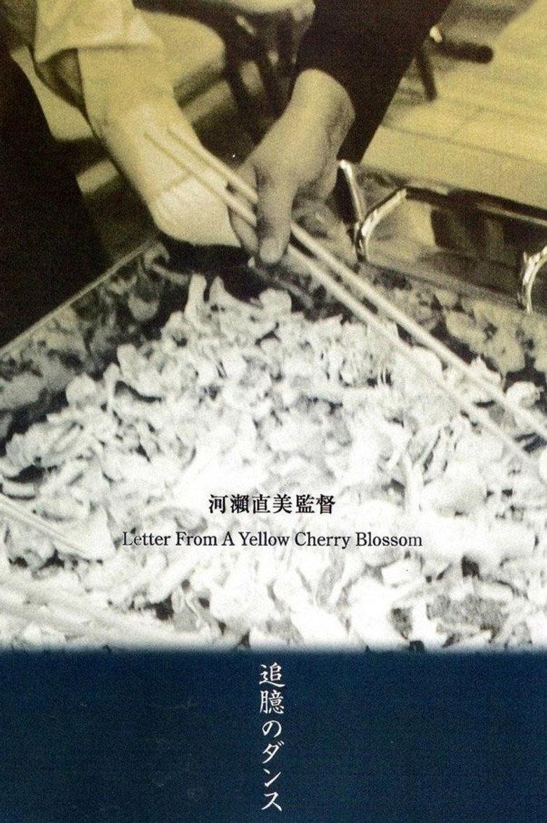 黄樱花的来信
