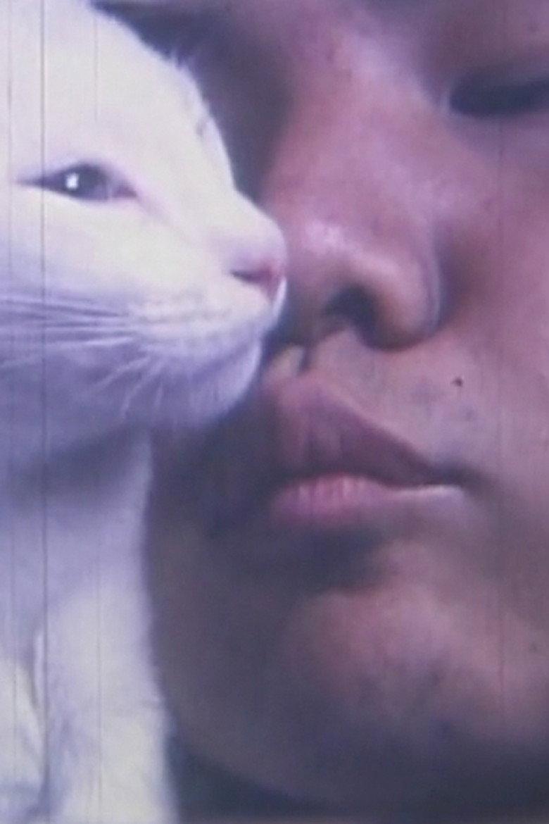 わびしゃび