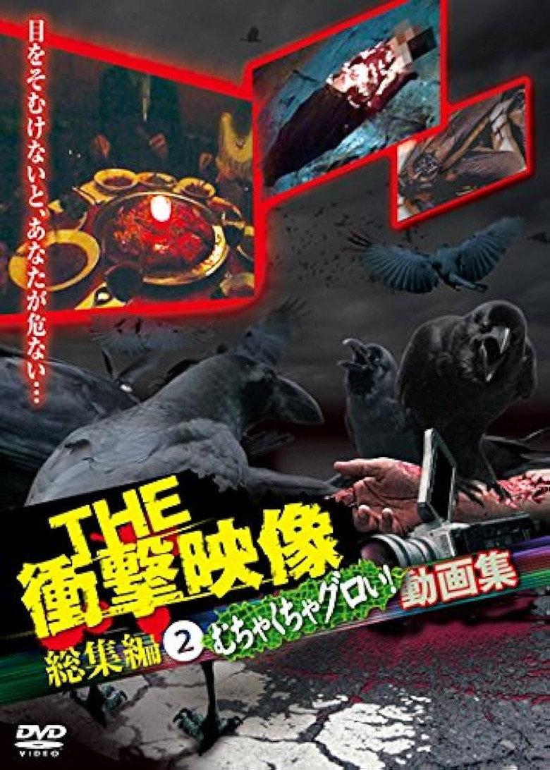 THE 衝撃映像 総集編(2)むちゃくちゃグロい!動画集