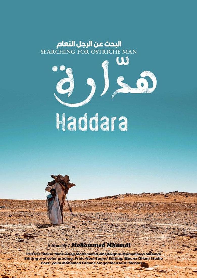 Searching for Ostrich Man Haddara