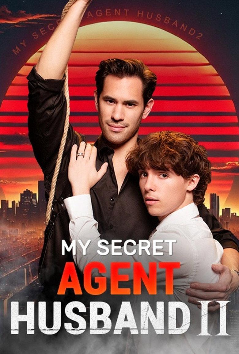 My Secret Agent Husband