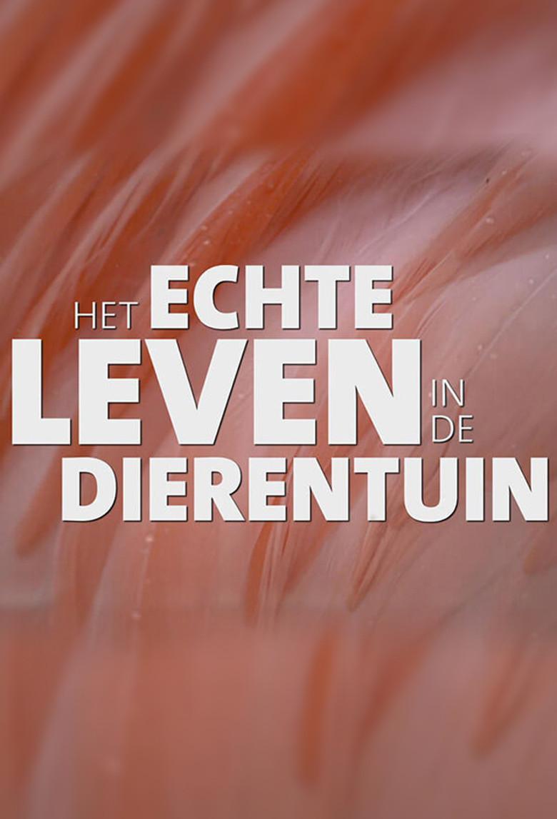 Het echte leven in de dierentuin