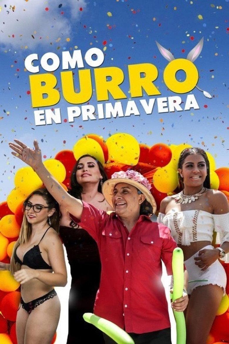 Como burro en primavera
