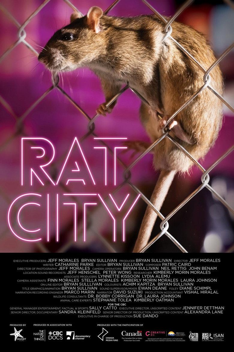 Rat City