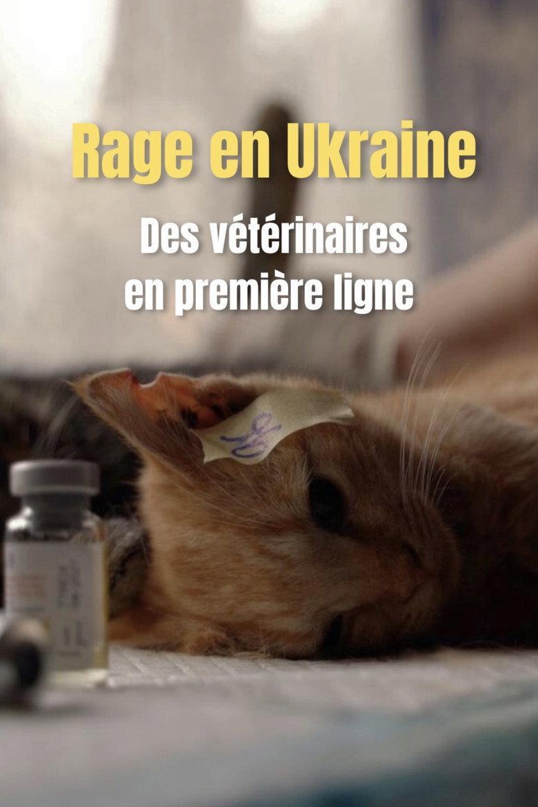 Rage en Ukraine : des vétériaires en première ligne