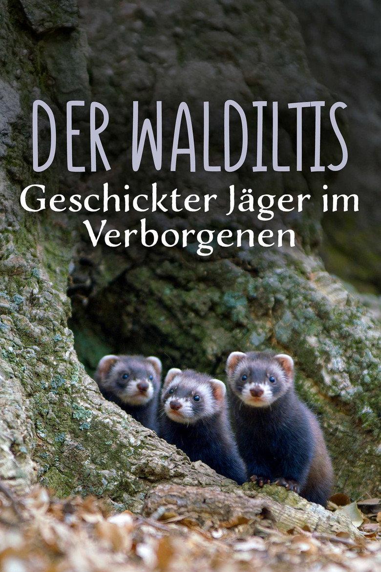 Polecat – Europe’s Relentless Hunter