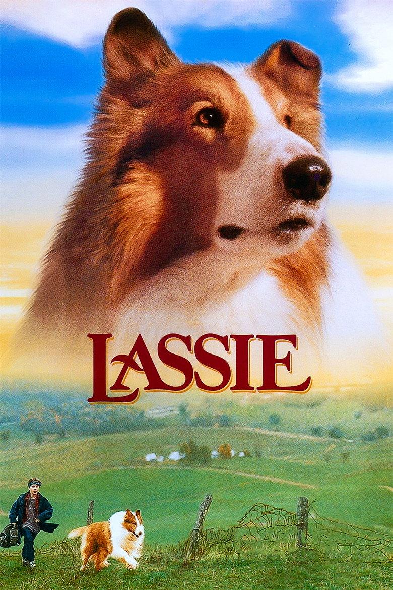 新灵犬莱西