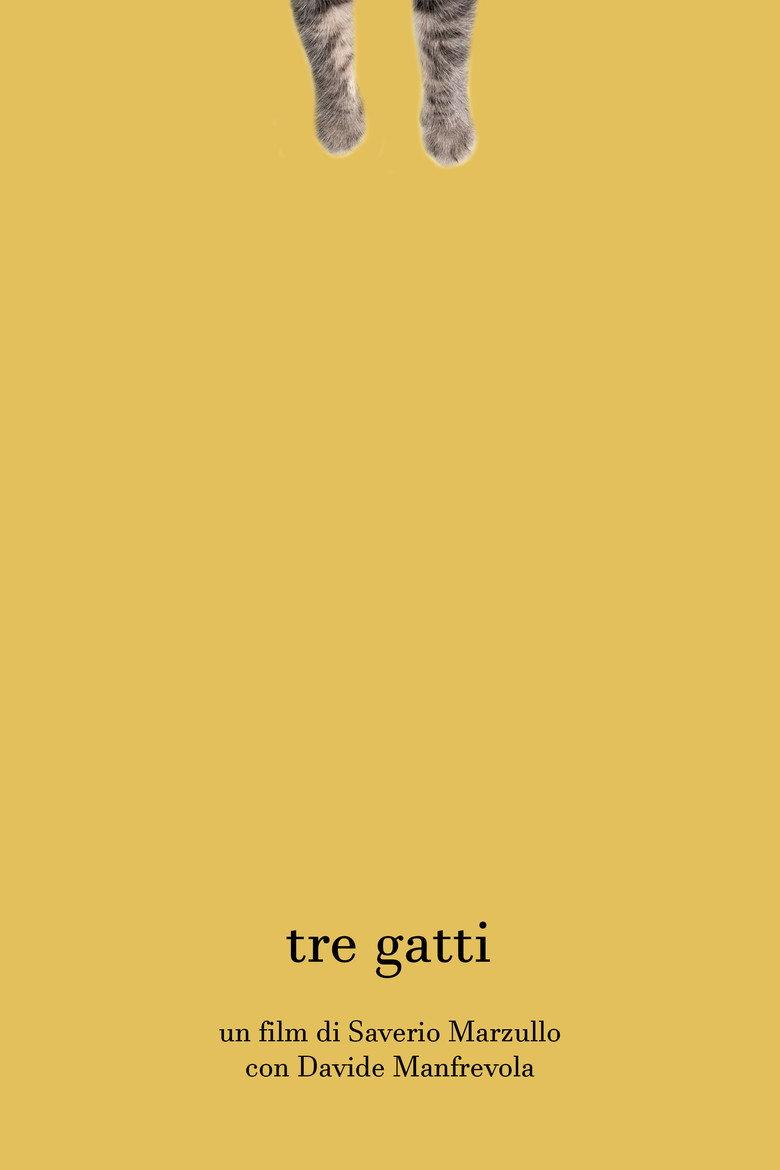 Tre gatti