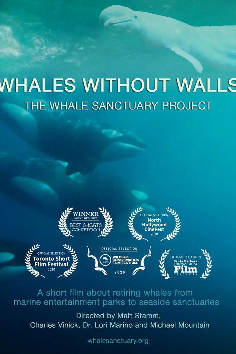 Whales Without Walls