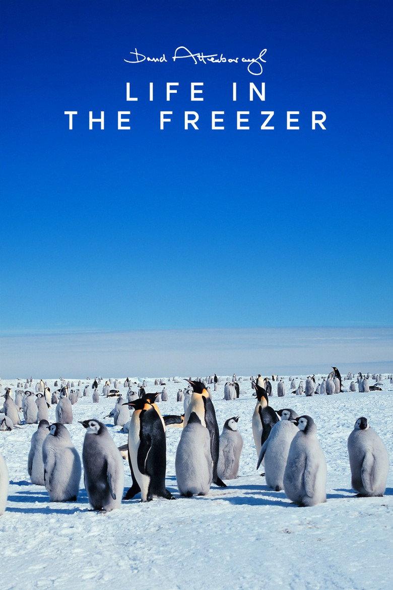 冰雪的童话