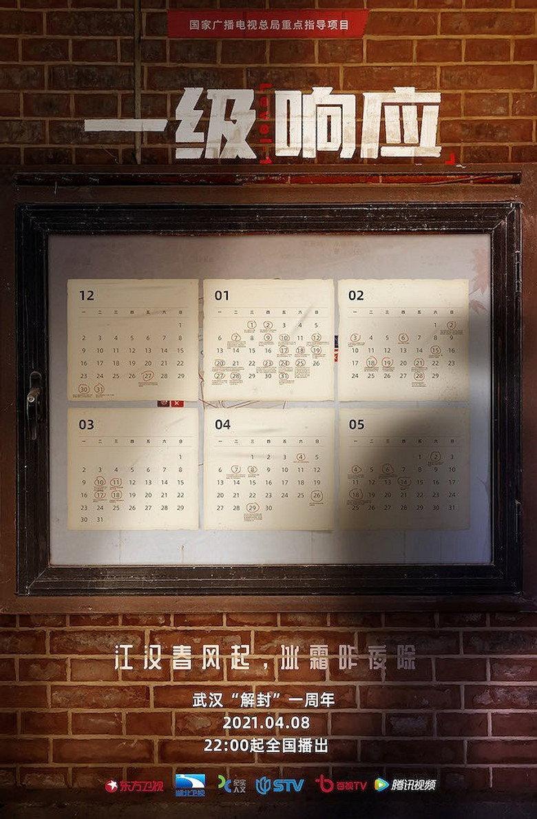 一级响应