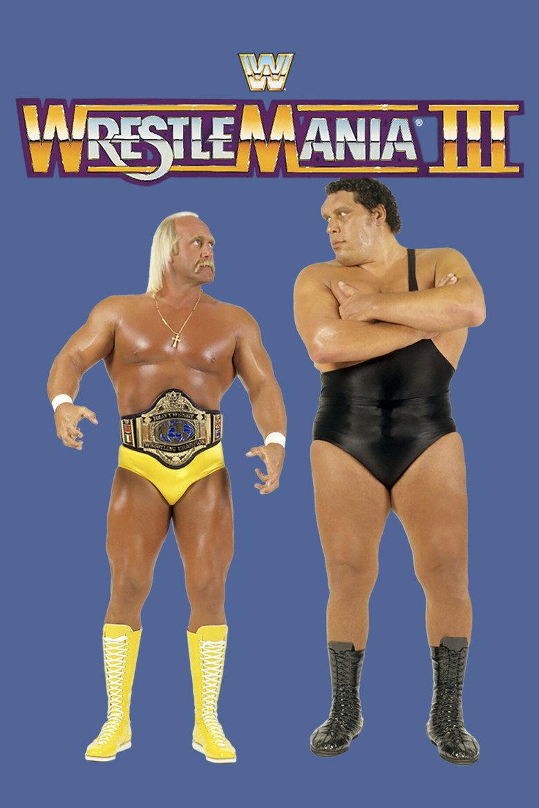 WWE 摔角狂热 3