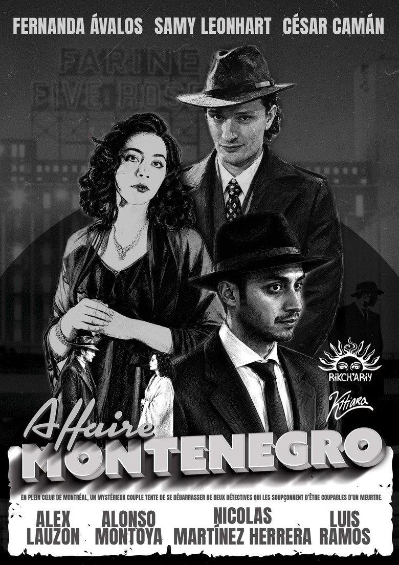 Affaire Montenegro